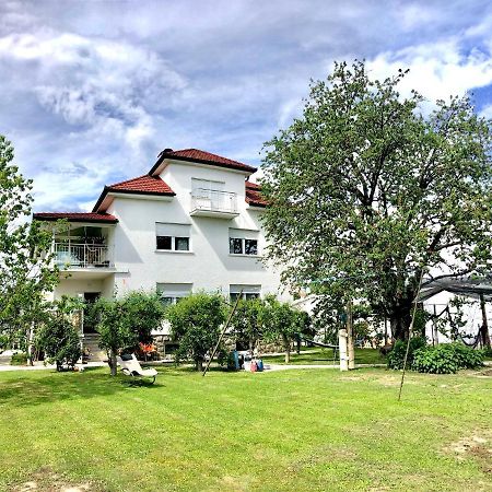 Apartments Andrej - Optuj Luaran gambar