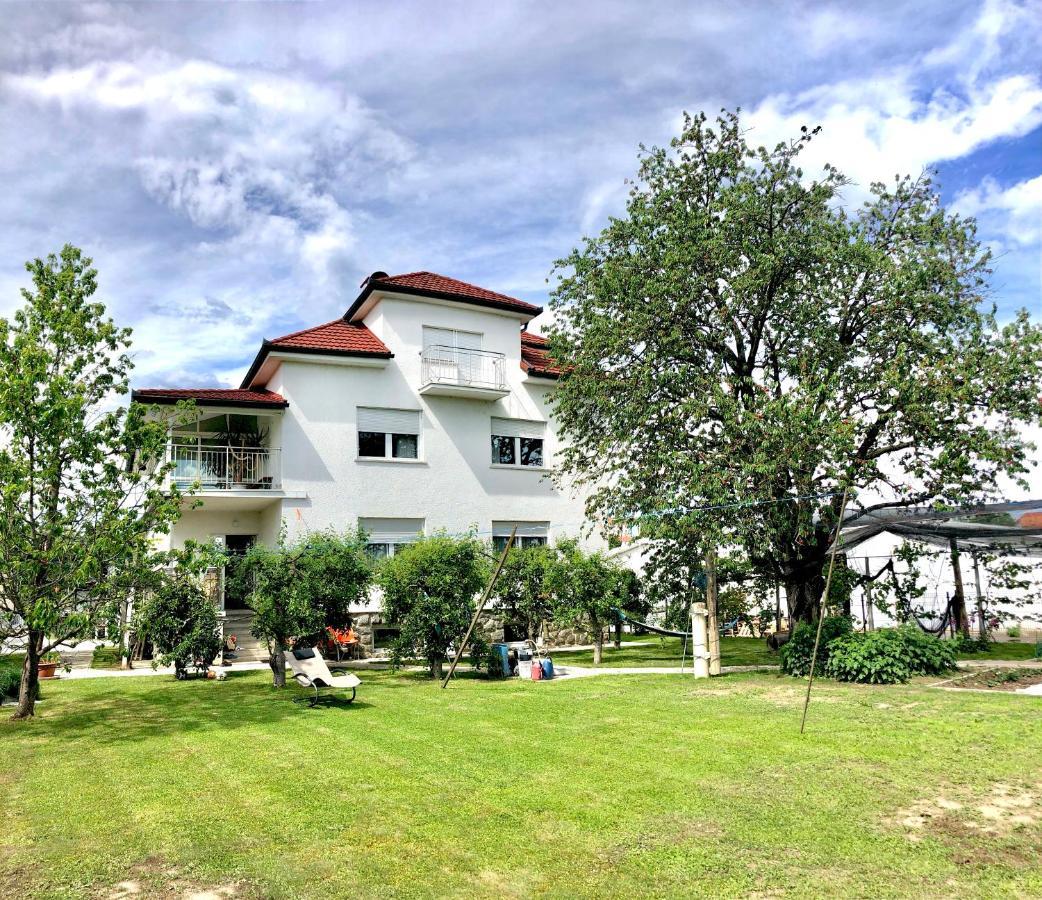 Apartments Andrej - Optuj Luaran gambar